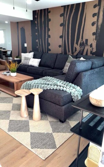 vrbo-interior-designer-scottsdale-interior-designer